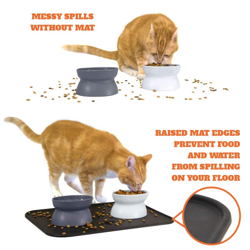 Kitty City Raised Cat Food Bowl Collection/Stress Free Pet Feeder and Waterer and Slow Feed Bowls - Image 3